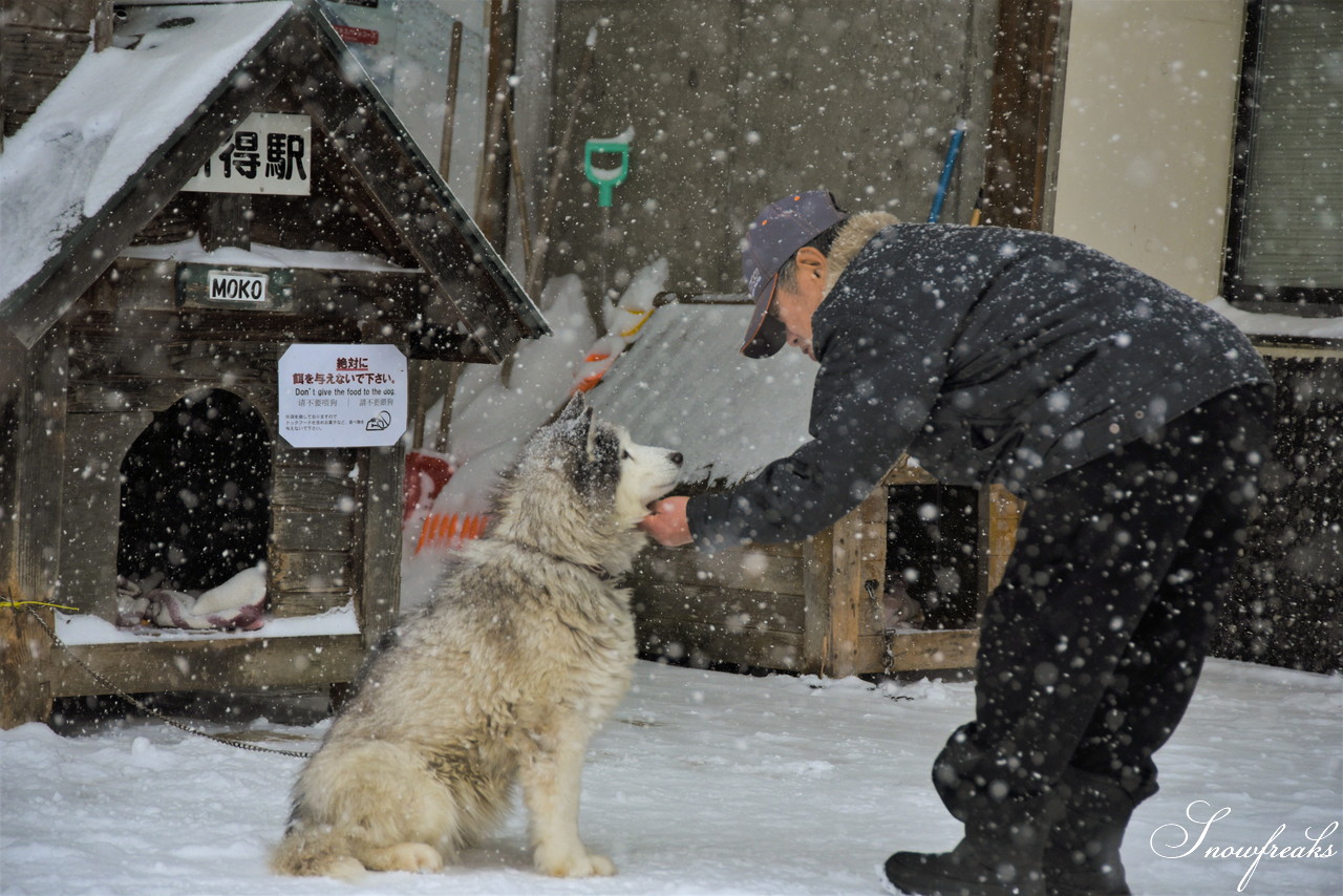 十勝サホロリゾート　高い晴天率を求めて向かったはずが…。新年早々嬉しい誤算、極上ドライパウダースノーに大当たり♪